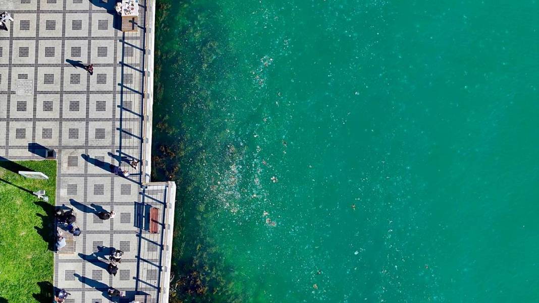 İstanbul'un o sahilinde yürüyüş yapanlar gözlerine inanamadı! Bitti denmişti, meğer yeniden başlıyormuş 14